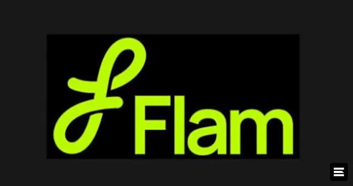 Flam привлекла $40 млн для развития интерактивного AI-контента