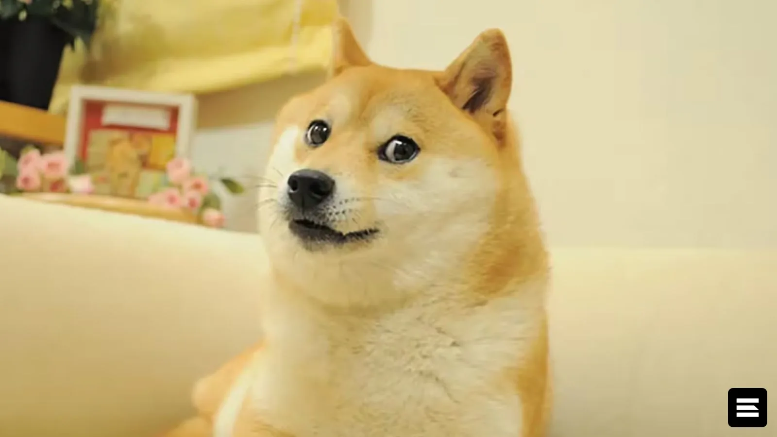 DogeOS запустила тестовую сеть для смарт-контрактов EVM в Dogecoin