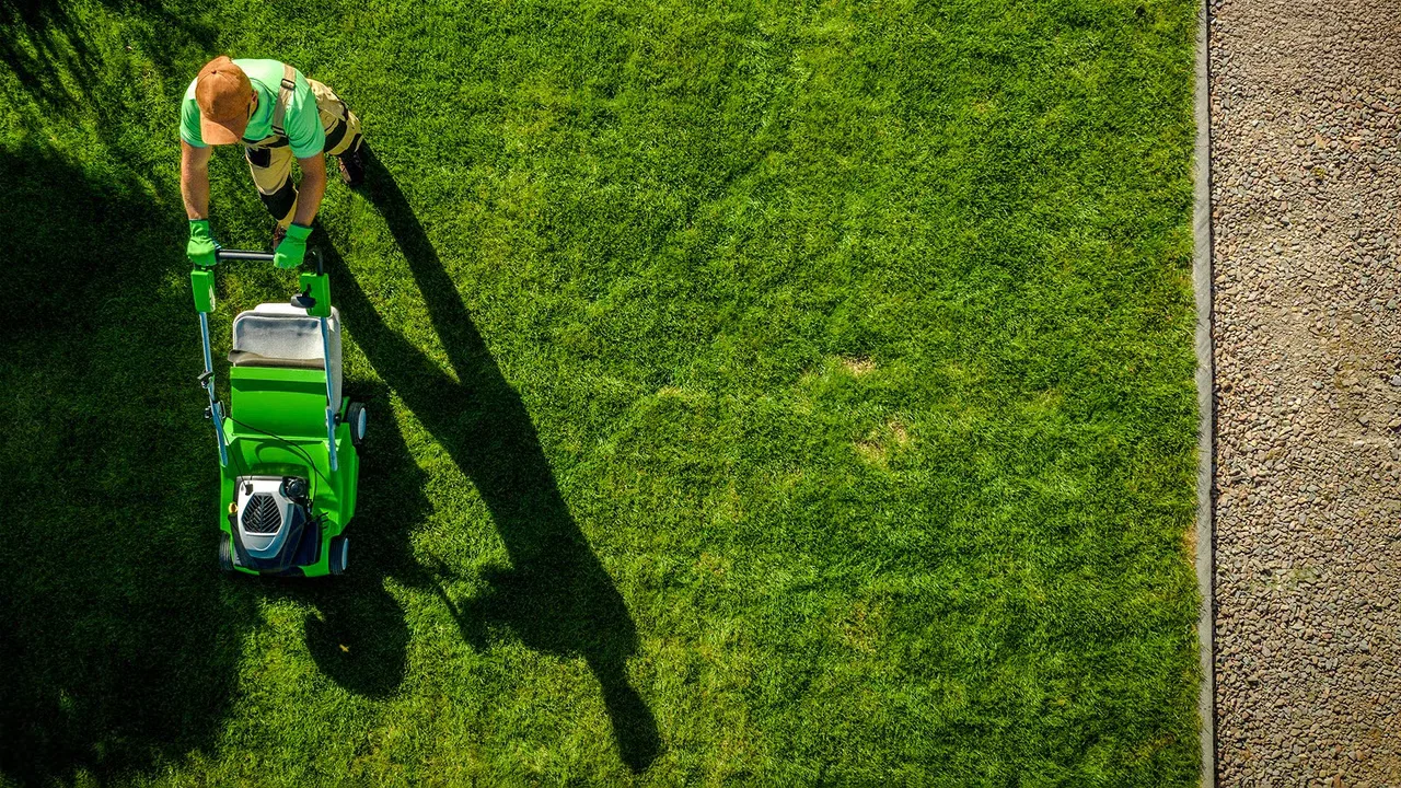 Бизнес за 470 тысяч долларов: как «скучное» дело обернулось кошмаром