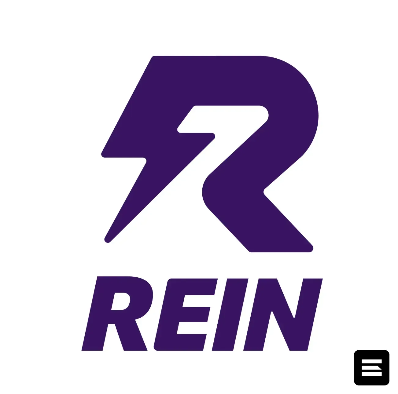 Rein Security привлекла $25 млн в раунде Series A