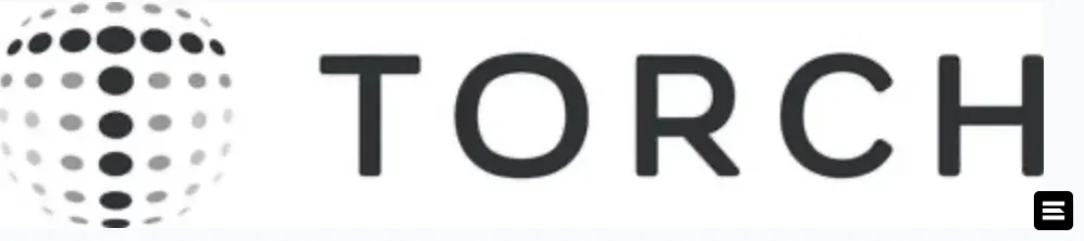 Torch Systems привлекла $11,5 млн для мониторинга инфраструктуры с помощью ИИ