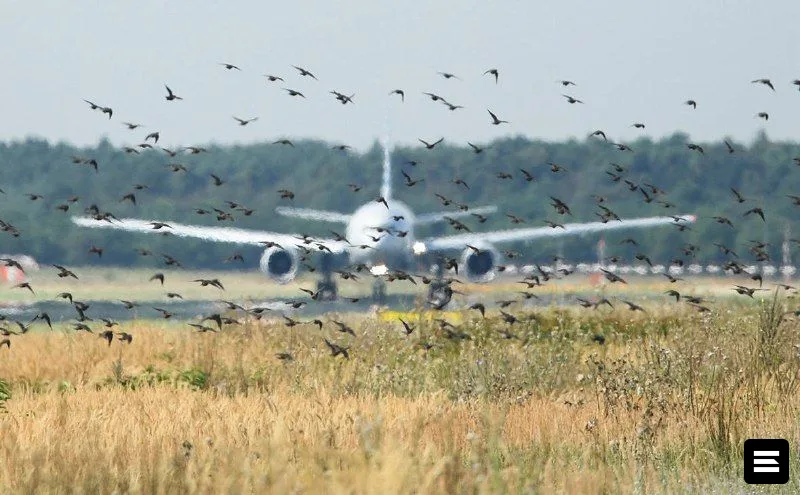 Аэропорт Вильнюса закрыли из-за ложной тревоги о дронах