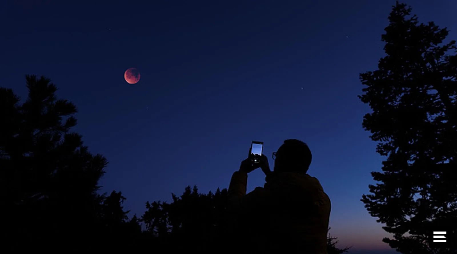 iPhone: почему фотографии получаются размытыми и как их улучшить