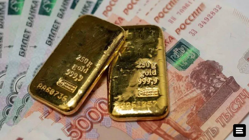 ЦБ России планирует ужесточить вывоз наличных рублей и золота